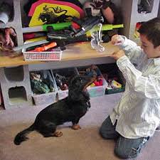 Animal Assisted Therapy