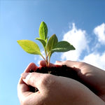 Offering Hope